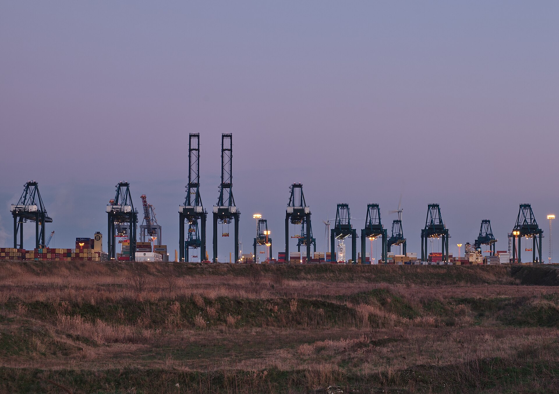 Port container terminal crane